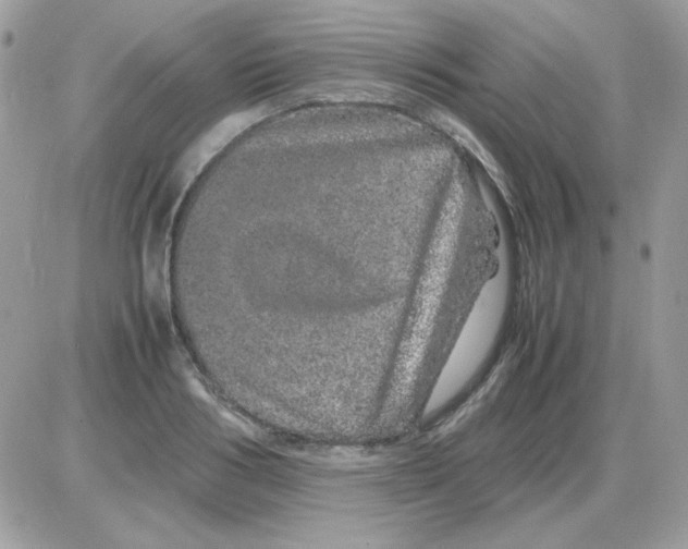 X0000085840986200704132059