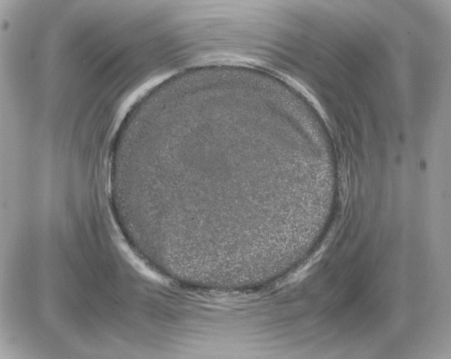 X0000085840987200704132059