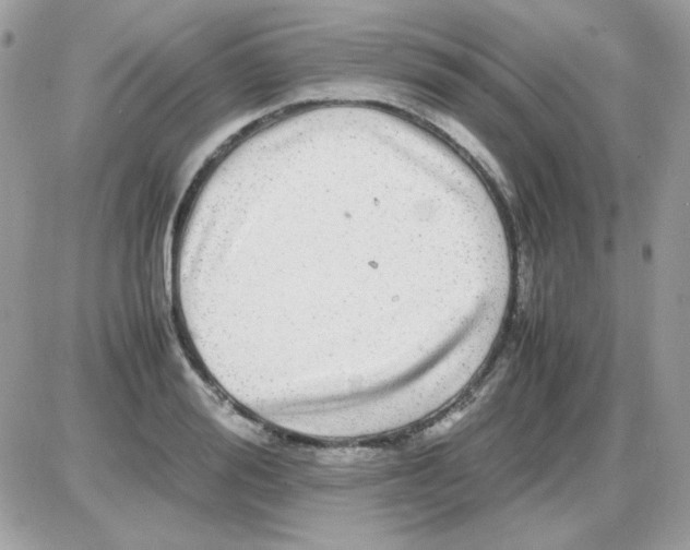 X0000085840988200704132059