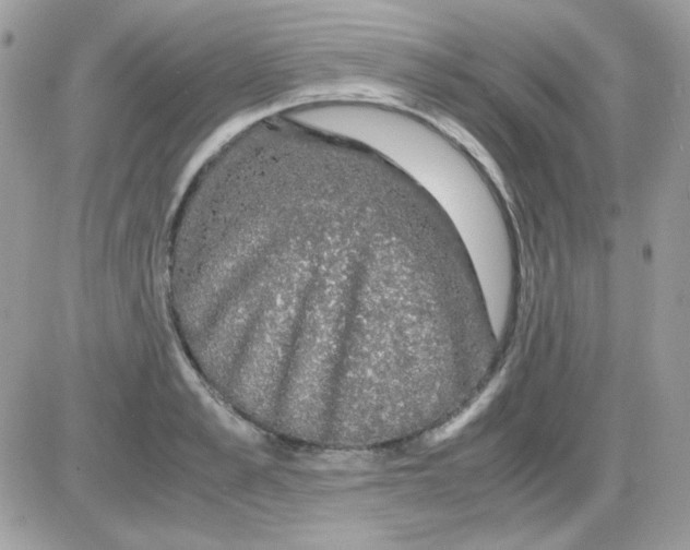 X0000085840989200704132059