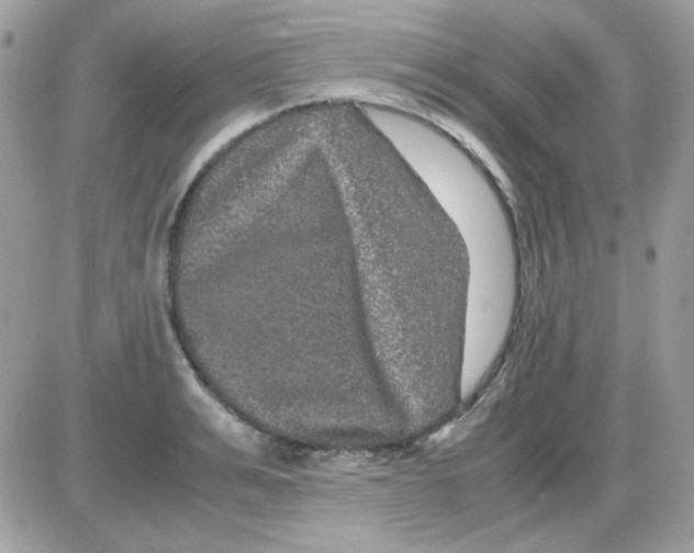 X0000085840991200704132058