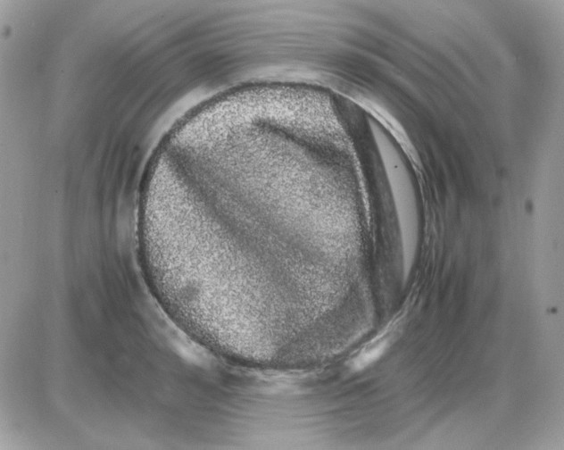 X0000085840992200704132058