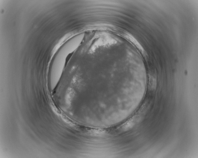 X0000085840994200704132058