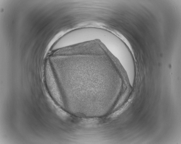 X0000085840997200704132058