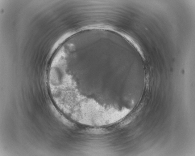 X0000085840998200704132058