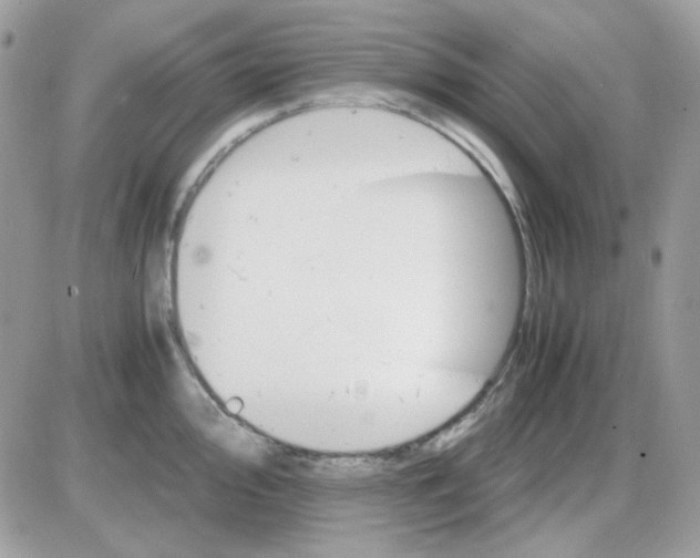 X0000085841000200704132058