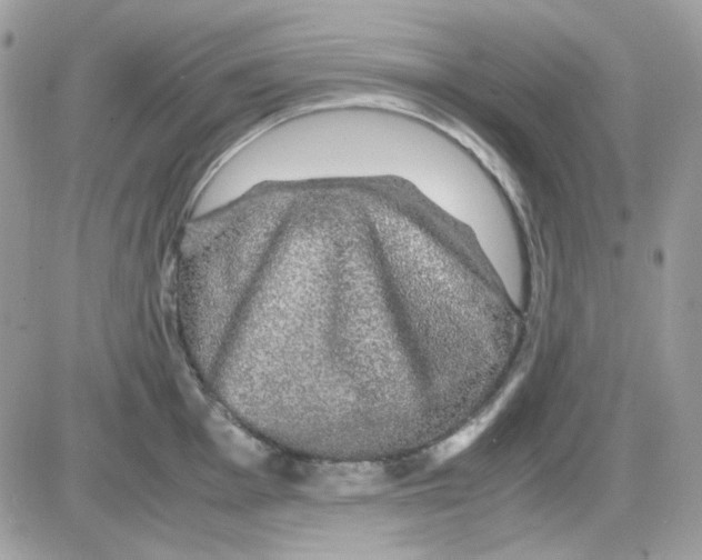 X0000085841001200704132058