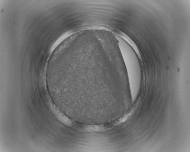 X0000085841002200704132058