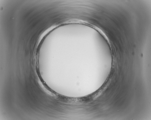 X0000085841003200704132058