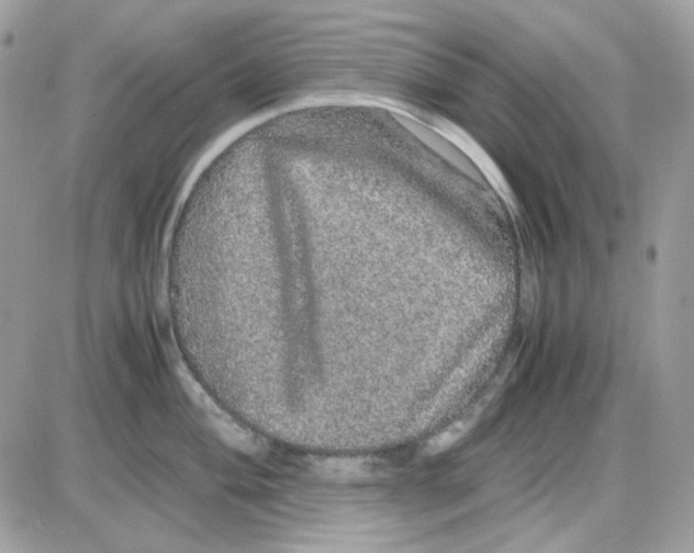 X0000085841004200704132058