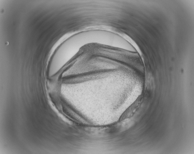 X0000085841005200704132058