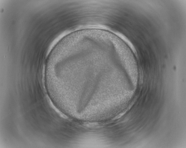 X0000085841006200704132058