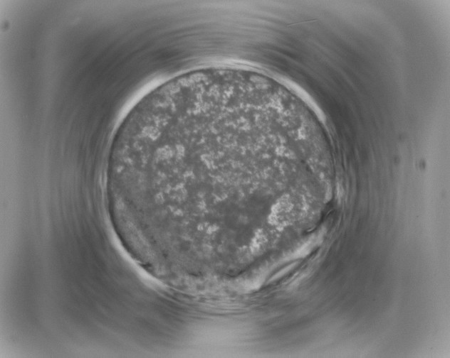 X0000085841007200704132058