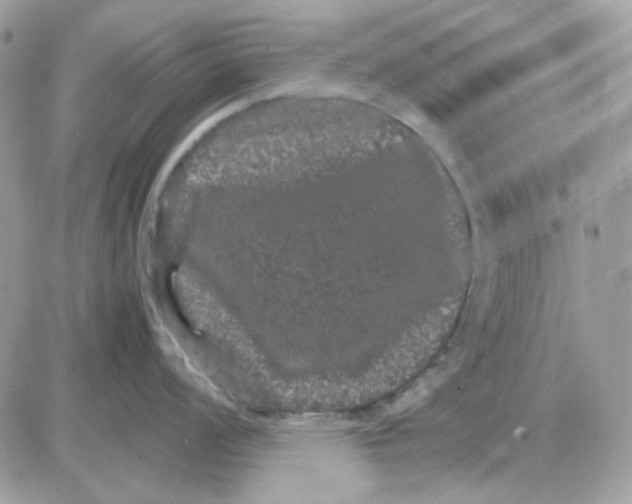 X0000085841008200704132058