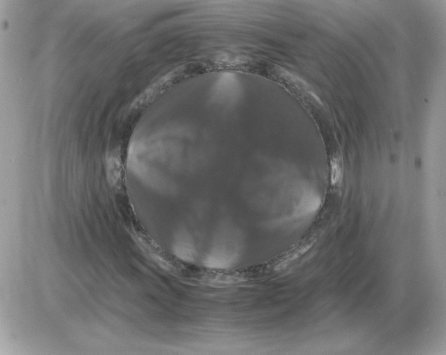 X0000085841011200704132057