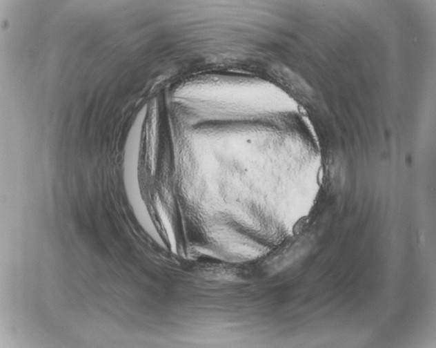 X0000085841012200704132057