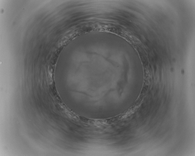 X0000085841013200704132057