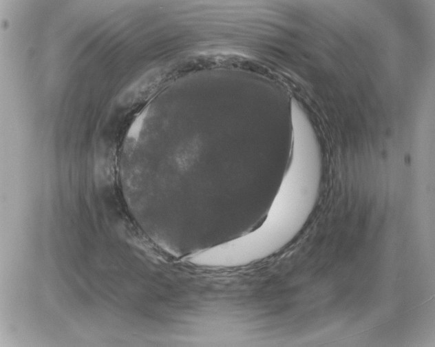 X0000085841014200704132057