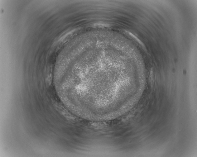 X0000085841015200704132057