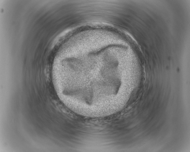 X0000085841016200704132058