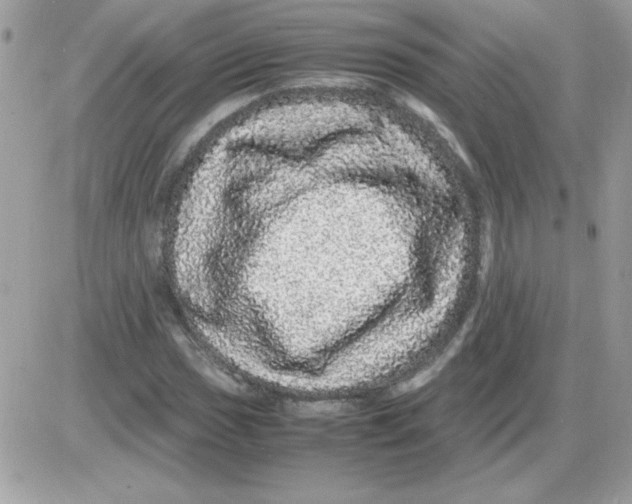 X0000085841017200704132058