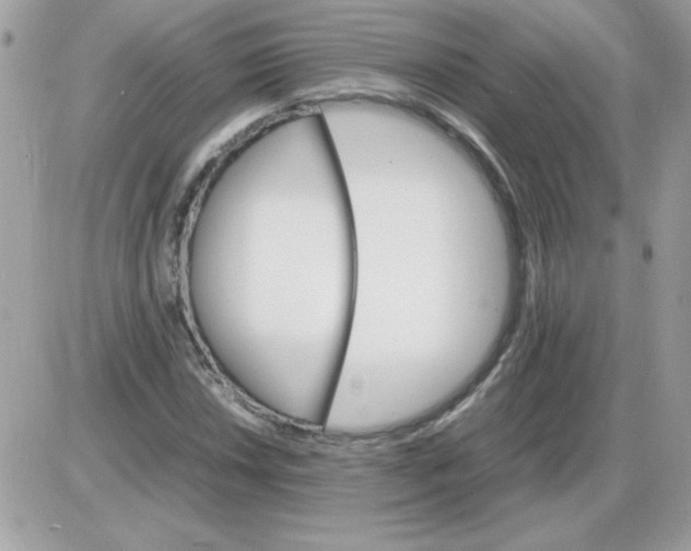 X0000085841018200704132058