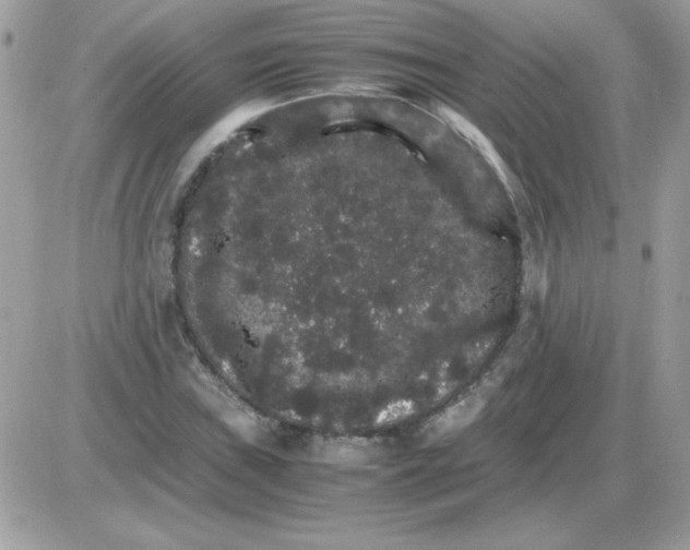 X0000085841019200704132058