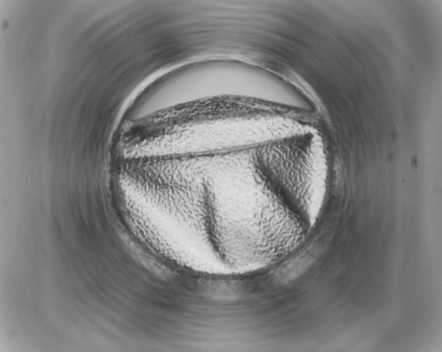 X0000085841020200704132058