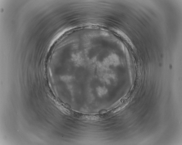 X0000085841023200704132058