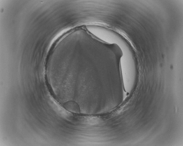 X0000085841024200704132058