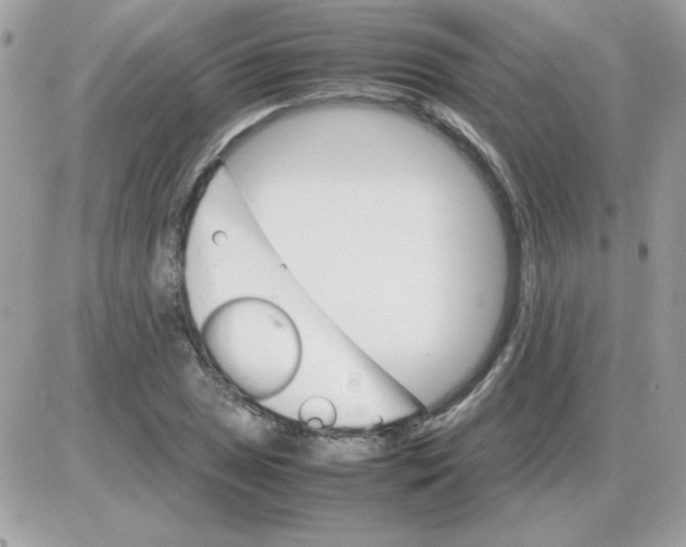 X0000085841025200704132058