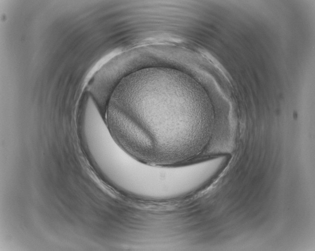 X0000085841026200704132058