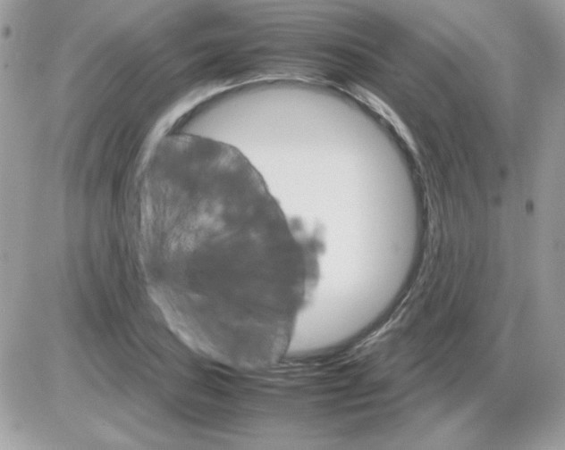 X0000085841027200704132058