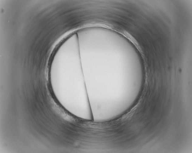 X0000085841028200704132058