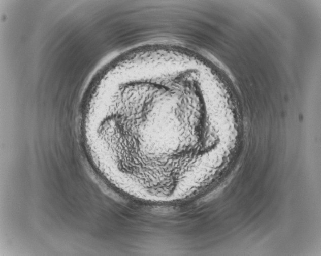 X0000085841029200704132058