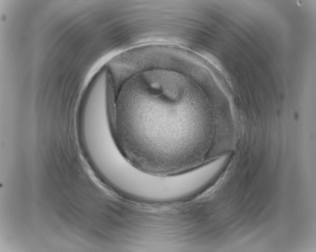 X0000085841030200704132058