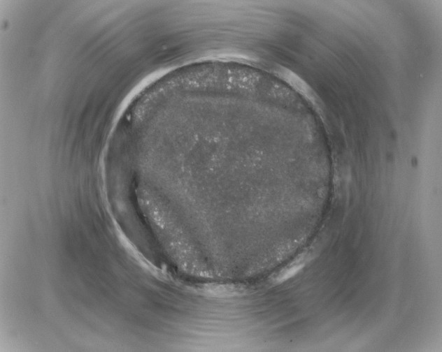 X0000085841032200704132058