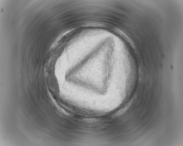 X0000085841033200704132058