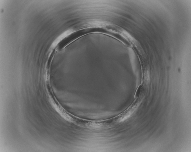 X0000085841034200704132058