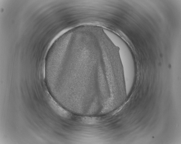 X0000085841036200704132058