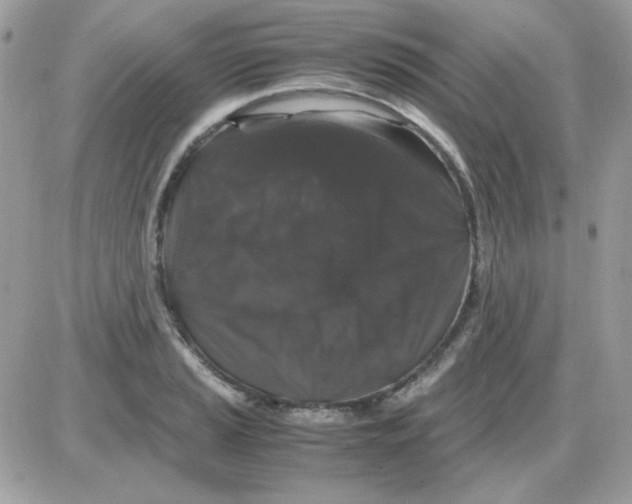 X0000085841037200704132058