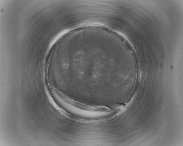 X0000085841038200704132058