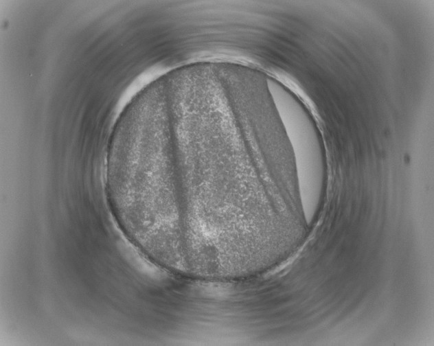 X0000085841040200704132058