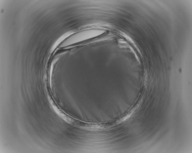 X0000085841042200704132058