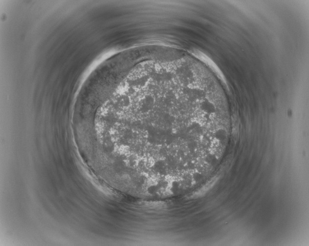 X0000085841043200704132058