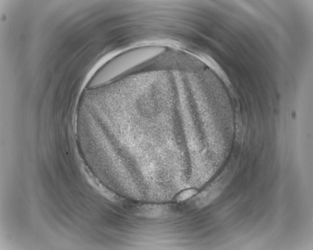 X0000085841044200704132058