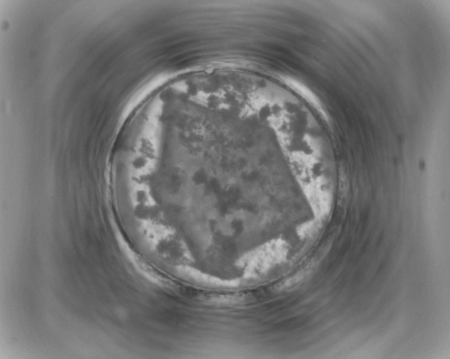 X0000085841047200704132058