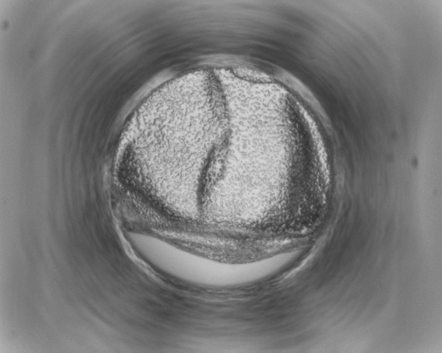 X0000085841049200704132058