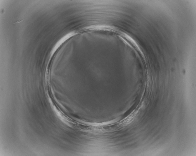 X0000085841050200704132058