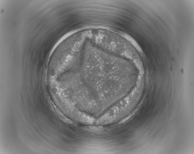 X0000085841052200704132058